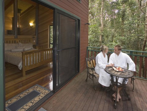 Springbrook Lyrebird Retreat - Accommodation Directory 3