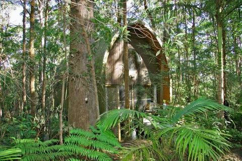 Springbrook Mountain Chalets - Accommodation Directory 0