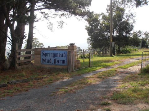 Springmead B&B - Accommodation Directory 2