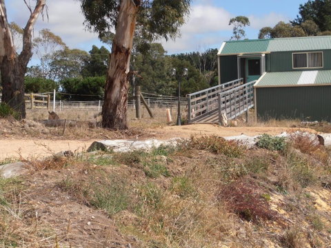 Springmead Rustic Cabin - Accommodation Directory 1