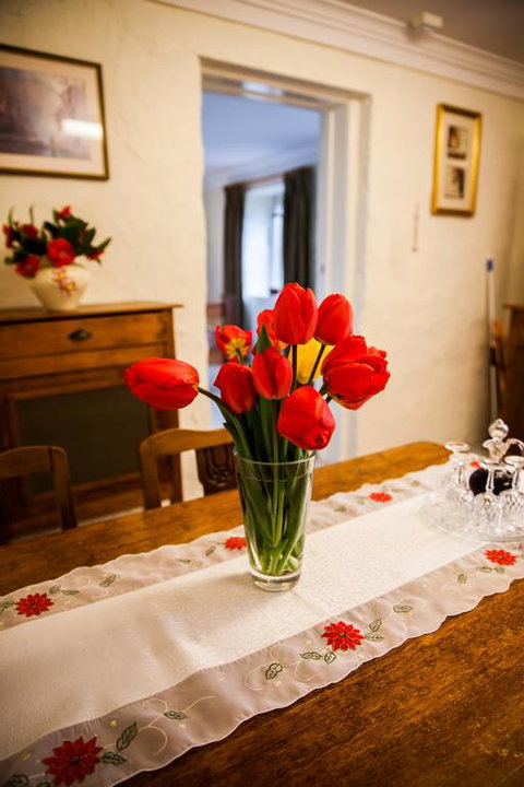 Sunnyside Cottage - Accommodation Directory 3