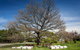 Ratho Farm - thumb 8