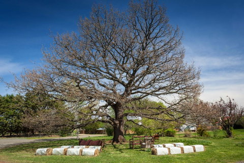 Ratho Farm - Accommodation Directory 8
