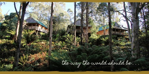 Lemonthyme Wilderness Retreat - Accommodation Directory 20