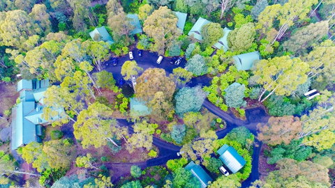 Lemonthyme Wilderness Retreat - Accommodation Directory 1