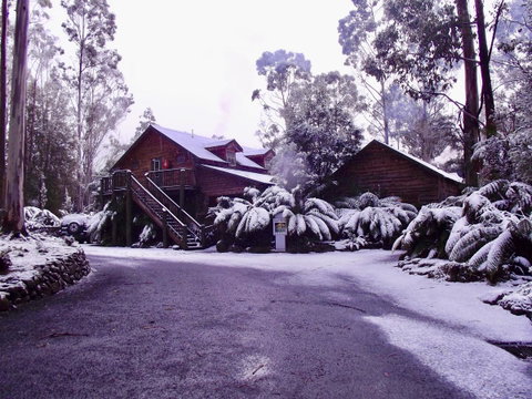 Lemonthyme Wilderness Retreat - Accommodation Directory 12