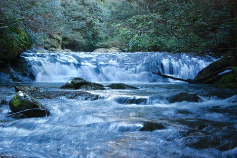 Lemonthyme Wilderness Retreat - Accommodation Directory 10