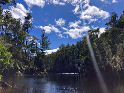 Lemonthyme Wilderness Retreat - Accommodation Directory 7