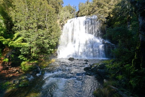Lemonthyme Wilderness Retreat - Accommodation Directory 19