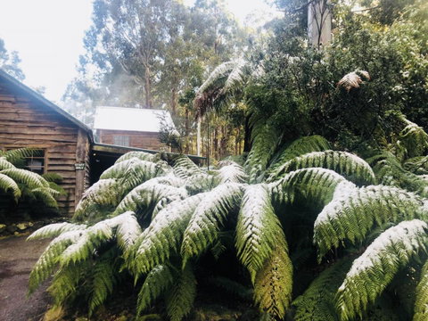 Lemonthyme Wilderness Retreat - Accommodation Directory 5