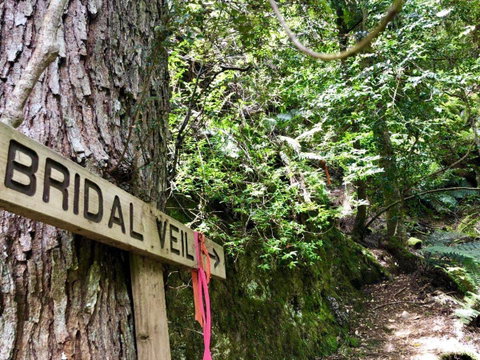 Lemonthyme Wilderness Retreat - Accommodation Directory 18