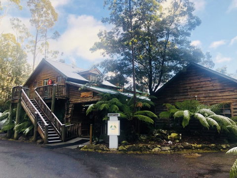 Lemonthyme Wilderness Retreat - Accommodation Directory 4