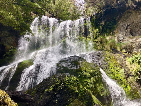 Lemonthyme Wilderness Retreat - Accommodation Directory 14
