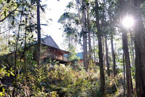 Lemonthyme Wilderness Retreat - Accommodation Directory 25