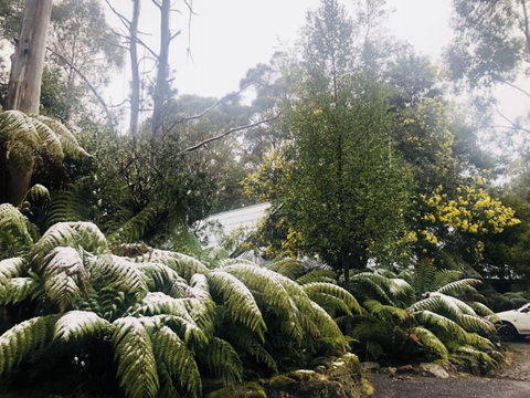 Lemonthyme Wilderness Retreat - Accommodation Directory 16