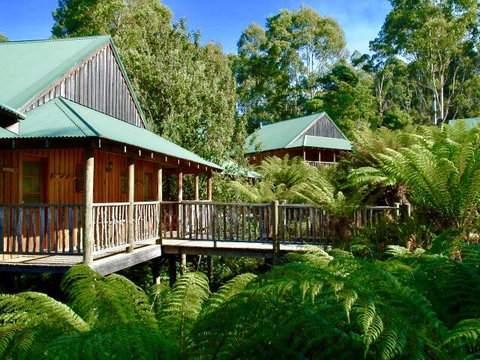 Lemonthyme Wilderness Retreat - Accommodation Directory 11