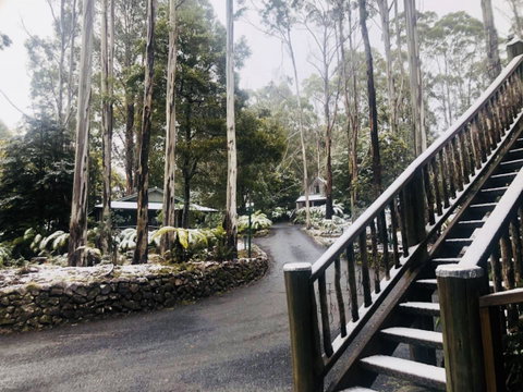 Lemonthyme Wilderness Retreat - Accommodation Directory 15