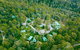 Lemonthyme Wilderness Retreat - thumb 0