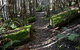 Lemonthyme Wilderness Retreat - thumb 22