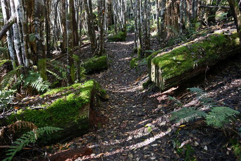 Lemonthyme Wilderness Retreat - Accommodation Directory 22