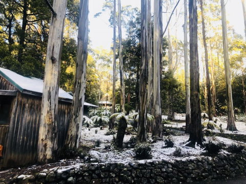 Lemonthyme Wilderness Retreat - Accommodation Directory 6