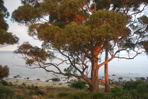 Beachside Taroona With Spa - Accommodation Directory 18