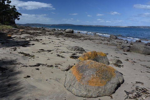 Beachside Taroona With Spa - Accommodation Directory 30