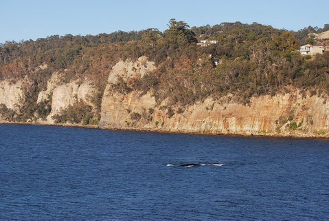 Beachside Taroona With Spa - Accommodation Directory 29