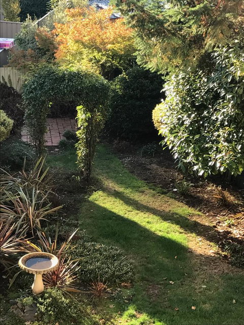 Maple Cottage - Accommodation Directory 1