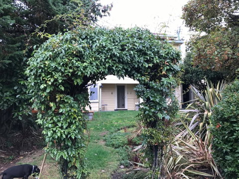 Maple Cottage - Accommodation Directory 26