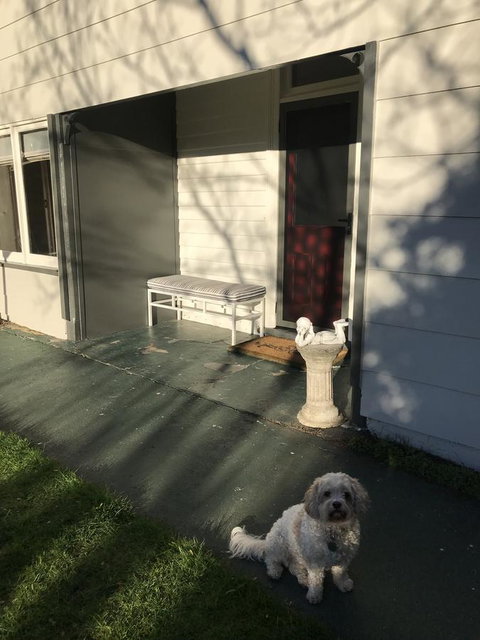 Maple Cottage - Accommodation Directory 3