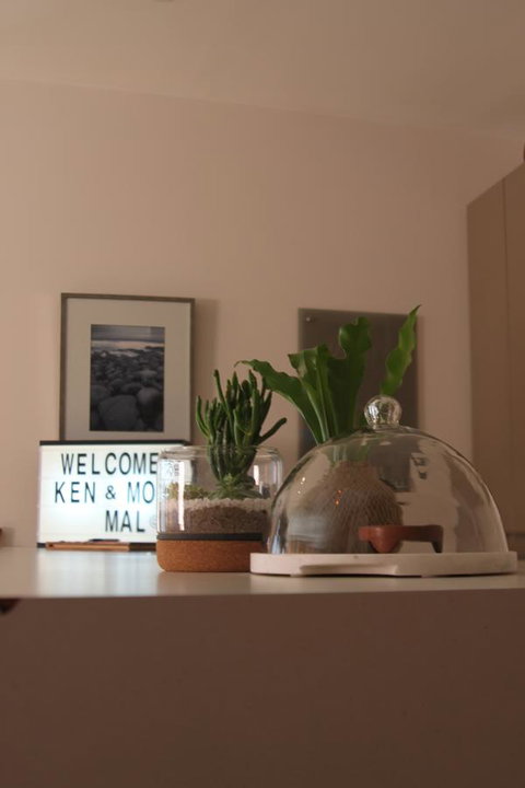 The Old Federal Coffee Palace - Accommodation Directory 4