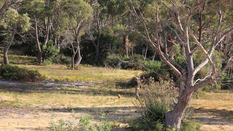 BAY OF FIRES SEACHANGE Ocean Frontage - Accommodation Directory 12