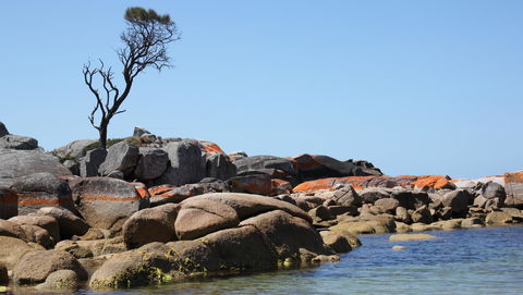 BAY OF FIRES SEACHANGE Ocean Frontage - Accommodation Directory 21