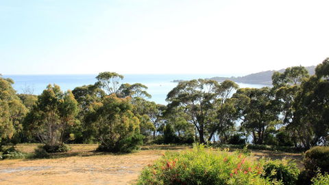BAY OF FIRES SEACHANGE Ocean Frontage - Accommodation Directory 16