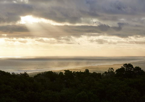 RACV Cape Schanck Resort - Accommodation Directory 6