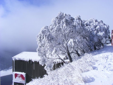 Arlberg Hotham - Accommodation Directory 15