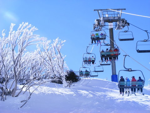 Arlberg Hotham - Accommodation Directory 12