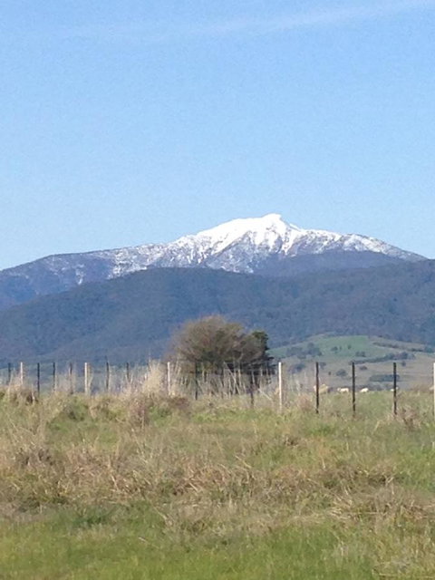 High Country Holiday Park - Accommodation Directory 34