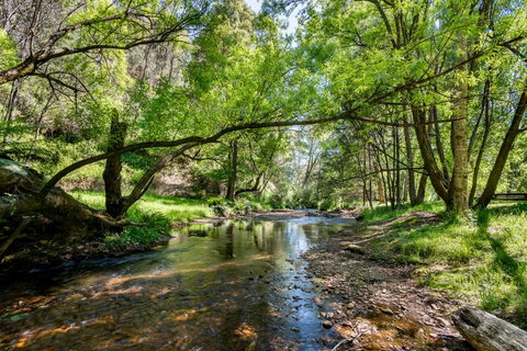 Avalon House - Accommodation Directory 7