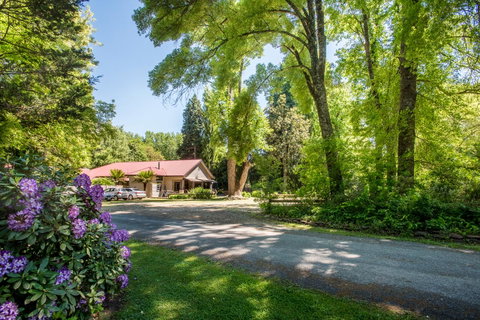 Avalon House - Accommodation Directory 0