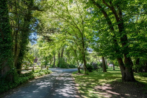 Avalon House - Accommodation Directory 23