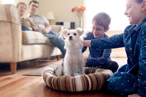 Boutique Stays Sandyside- Sandringham Villa Units - Accommodation Directory 6