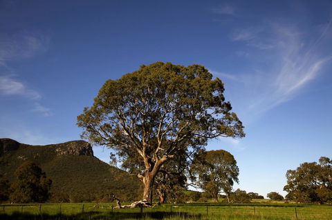 Dunkeld Studio Accommodation - Accommodation Directory 23