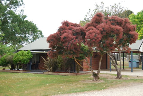 Greenvale Holiday Units - Accommodation Directory 9