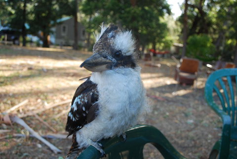 Gariwerd Motel - Accommodation Directory 11