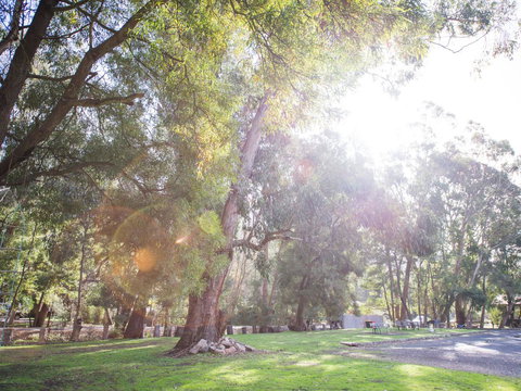 Gariwerd Motel - Accommodation Directory 7