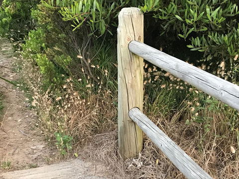 The International Motel Apollo Bay - Accommodation Directory 36
