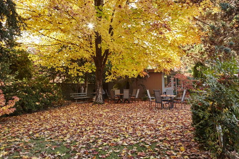 Goldfield Holiday Units - Accommodation Directory 19