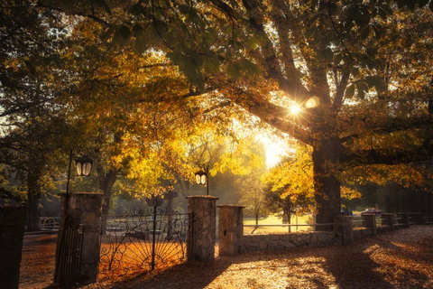 Goldfield Holiday Units - Accommodation Directory 20